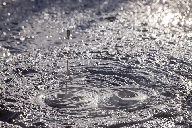 TRIPLE DEAL Wai-O-Tapu, Redwood Forest & Blue Springs Ex Auckland - The Redwood Forest: A Serene Walk Among Giants