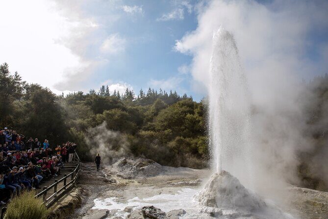 TRIPLE DEAL Wai-O-Tapu, Redwood Forest & Blue Springs Ex Auckland - Return to Auckland