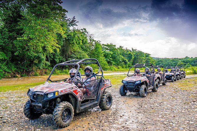Triple fun! Monkeyland + Damajagua Waterfalls + Buggies from Puerto Plata - Key Points  