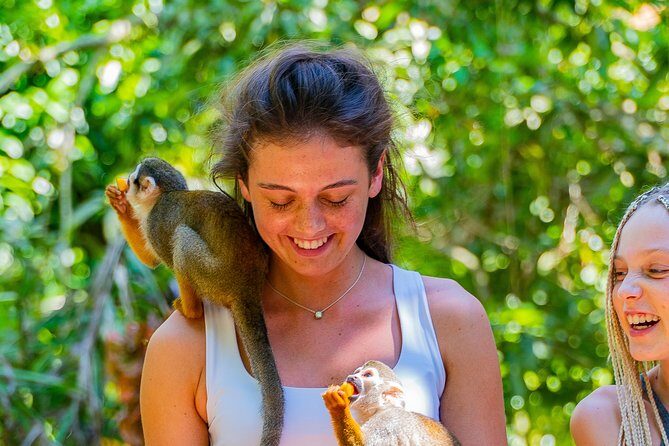 Triple fun! Monkeyland + Damajagua Waterfalls + Buggies from Puerto Plata - Who Will Love This Tour?  