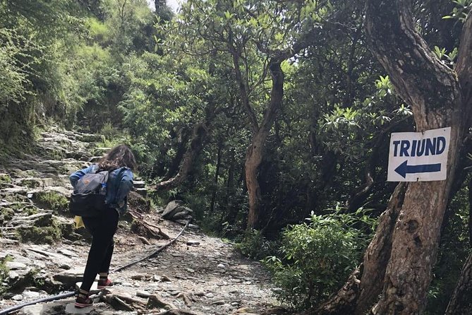 Triund Trek - Important Safety Information