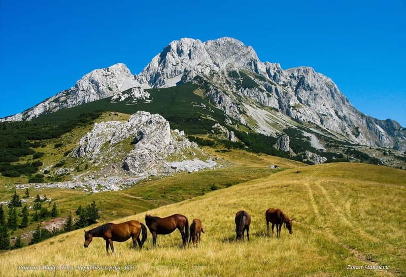 Trnovako Lake: National Park Sutjeska- Magli - Trekking - The Overall Value