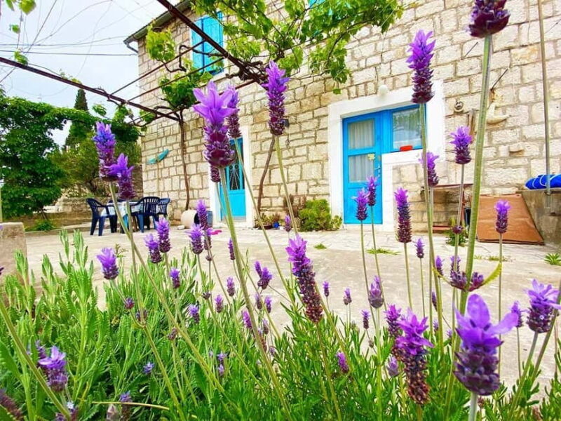 Trogir: Blue Lagoon, Maslinica, and Solinska Bay Boat Tour - Who Should Consider This Tour?