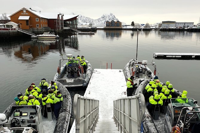 Trollfjord and Sea Eagle Safari Tour From Svolaer - What To Expect