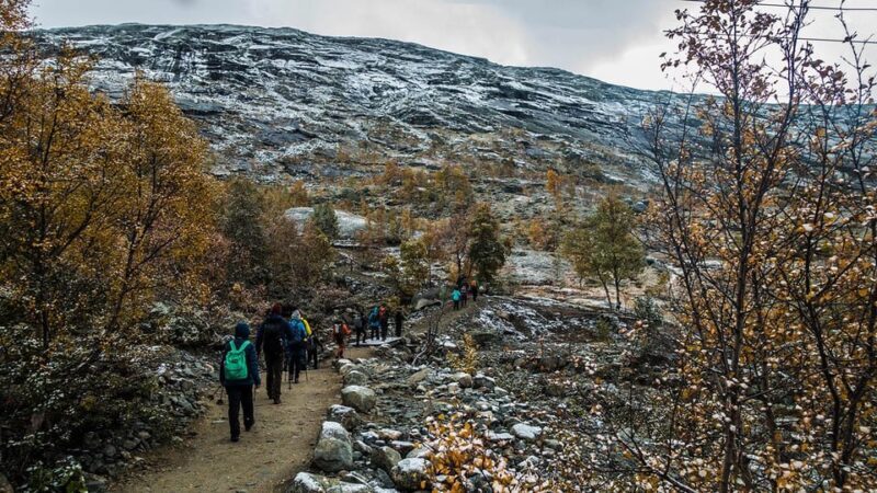 Trolltunga Autumn Hike Go Viking - An Authentic Norwegian Adventure in Autumn