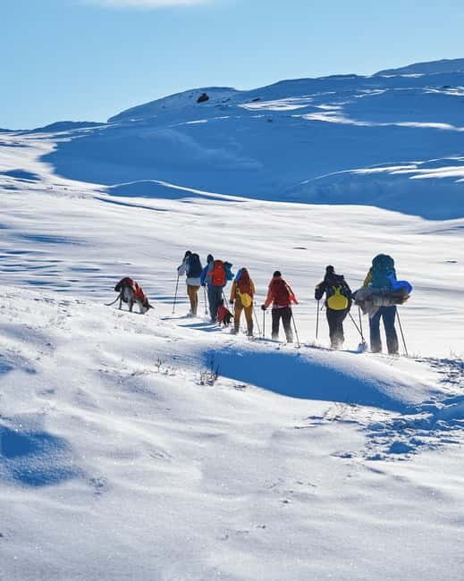 Trolltunga Day Hike - The Itinerary Breakdown: What to Expect