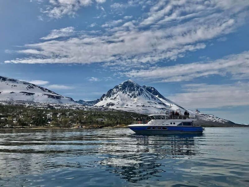 Tromsø: 2-Hour Island Tour Cruise with Snacks and Drinks - An In-Depth Look at the Tromsø Island Cruise