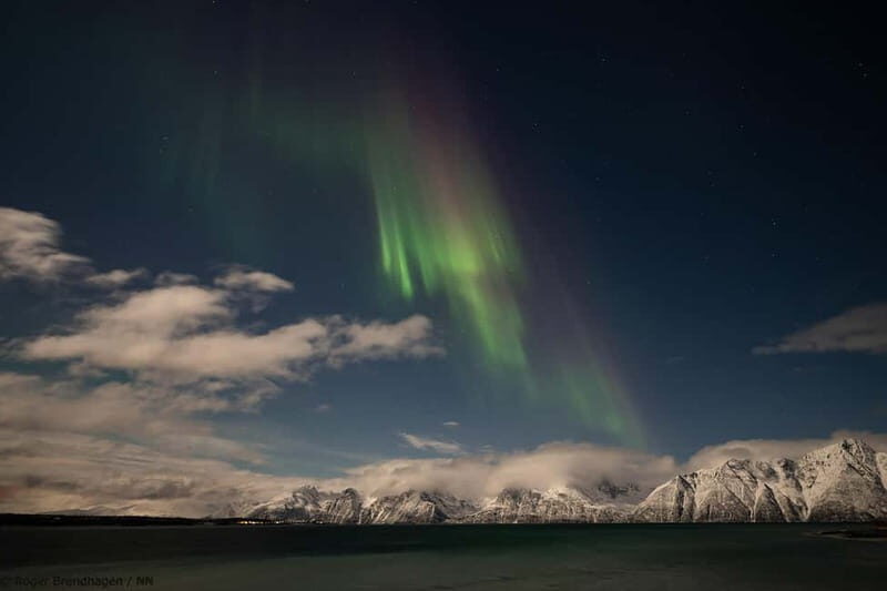 Tromsø: 24hr Northern Lights & Whale Watching Cruise - An Honest Look at the Tromsø 24-Hour Cruise
