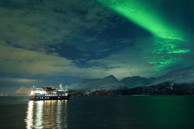 Tromsø: 24hr Northern Lights & Whale Watching Cruise - Who Should Consider This Tour?