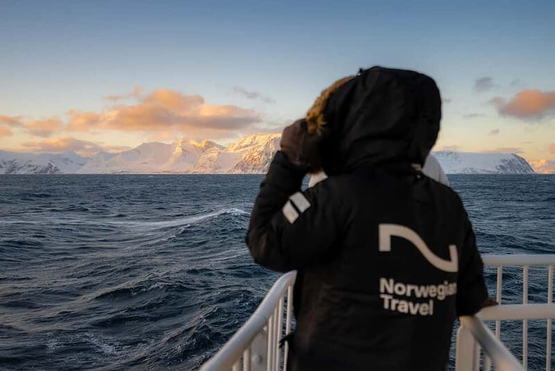 Tromsø: 24hr Northern Lights & Whale Watching Cruise - Final Thoughts