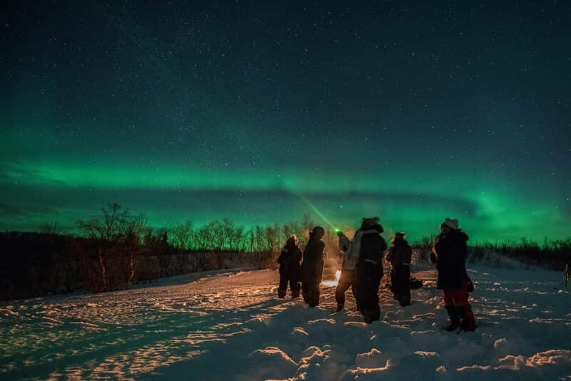 Tromsø: Adult Only Aurora hunt with Citizen Science - An In-Depth Look at the Aurora Hunt Experience  