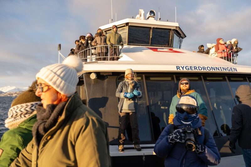 Tromsø: Arctic Fjord Cruise in Polar Landscapes - Wildlife Spotting Opportunities