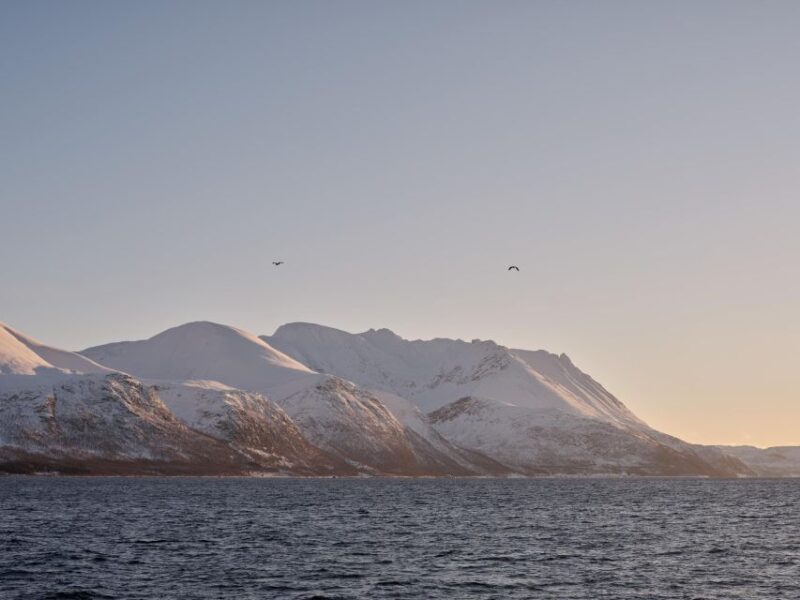 Tromsø: Arctic Fjord Cruise in Polar Landscapes - Onboard Amenities and Comfort