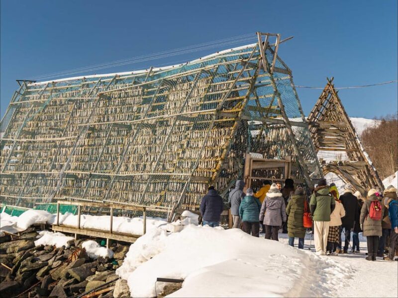 Tromsø: Arctic Fjord Cruise With Stop On Land At Fish Racks - Authentic Experiences and Value
