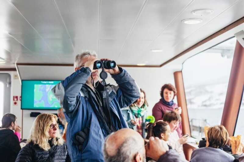 Tromsø: Arctic Fjord Cruise With Stop On Land At Fish Racks - Who Will Love This Tour?