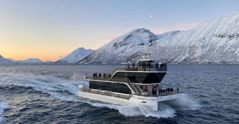 Tromsø: Arctic Fjord Cruise With Stop On Land At Fish Racks - Final Thoughts: Is It Worth It?