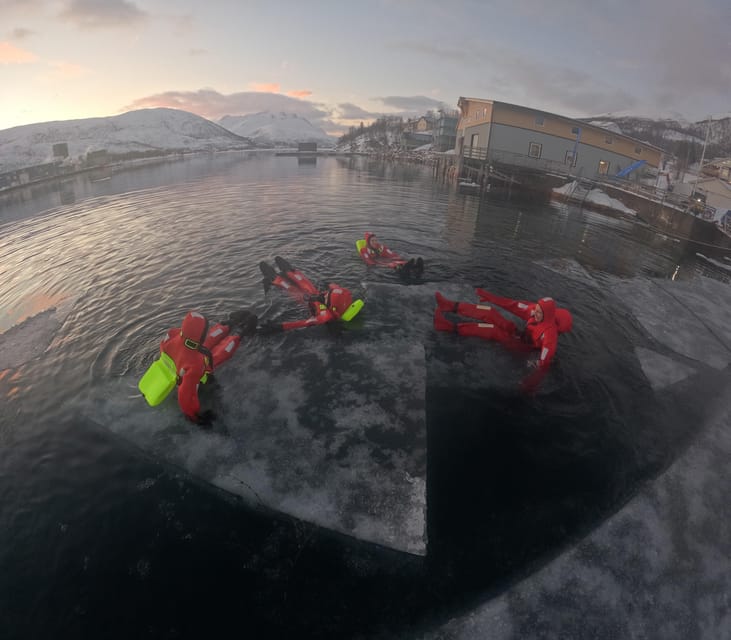Tromsø: Arctic Fjord Floating in Survival Suit - Practical Tips for Participants