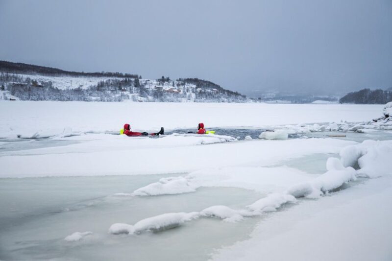 Tromsø: Arctic Floating with Snacks and Drinks - Who Will Love This Tour?