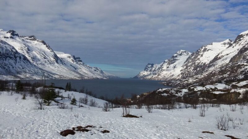 Tromsø: Arctic Landscape and Fjord Tour With Snacks - Wildlife Spotting Opportunities
