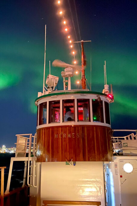 Tromsø: Arctic Light Evening Cruise With Fish Soup - What to Expect