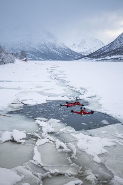 Tromsø: Arctic Ocean Floating Camp Rescue Suit Swimming - Pricing Information