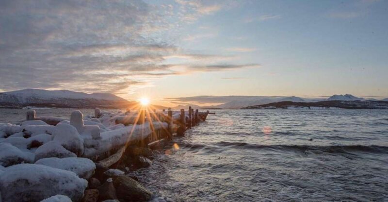 Tromsø: Arctic Sightseeing Tour & Citizen Science Project - Experience Highlights