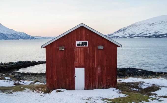 Tromsø: Arctic Sightseeing Tour & Citizen Science Project - Wildlife Spotting Opportunities
