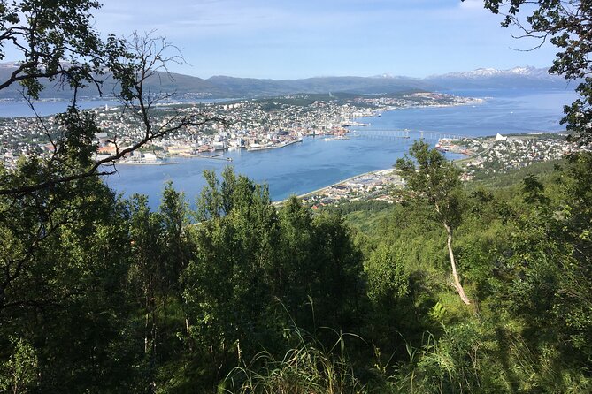 Tromsø Arctic Summer Adventure - Tour With a Local - Reviews