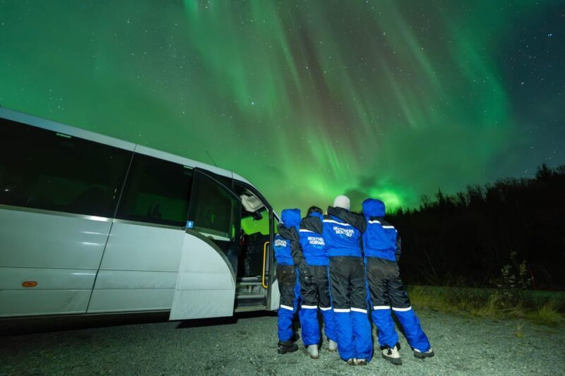 Tromsø: Aurora Borealis, Campfire, Hot Meal, Arctic Tour - A Closer Look at the Arctic Aurora Tour