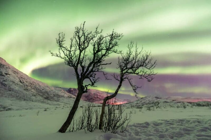 Tromso: Aurora Borealis Chase Tour up to Finland - Final Thoughts