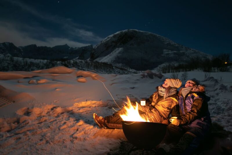 Tromsø: Aurora Borealis Chase With Guide, Meals & Campfire - Itinerary Highlights