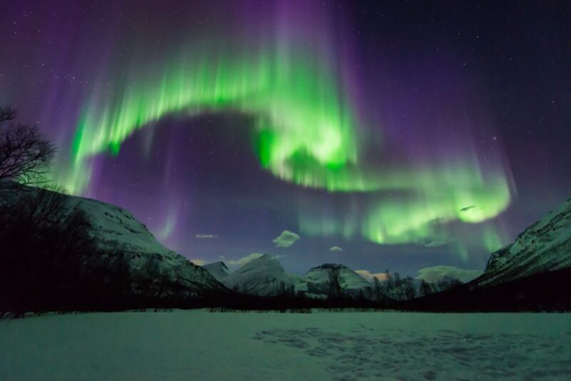 Tromsø: Aurora Hunt with Citizen Science - Key Points