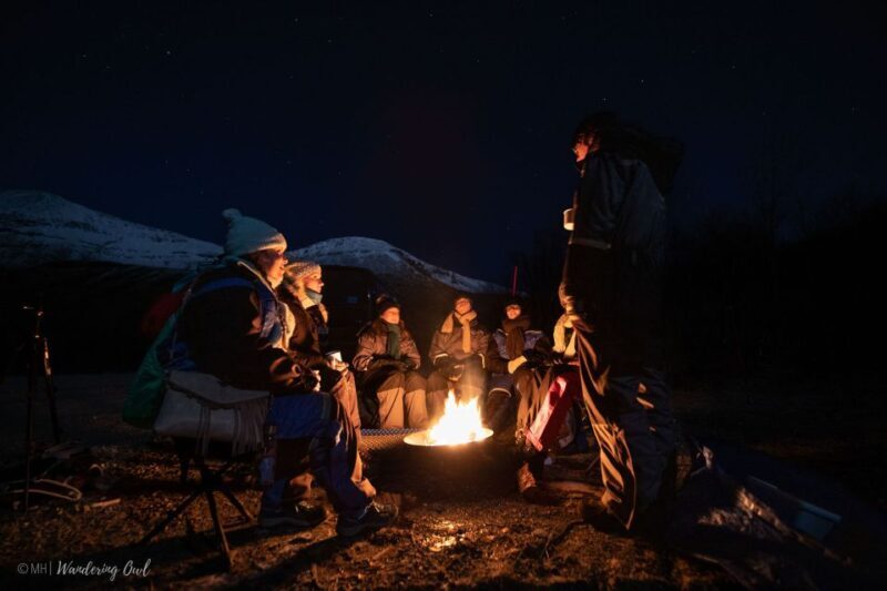 Tromsø: Aurora Hunt with Citizen Science - Citizen Science and Conservation