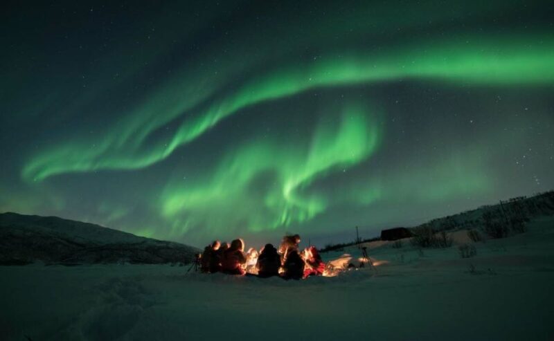Tromsø: Aurora Hunt with Citizen Science - The Itinerary in Detail