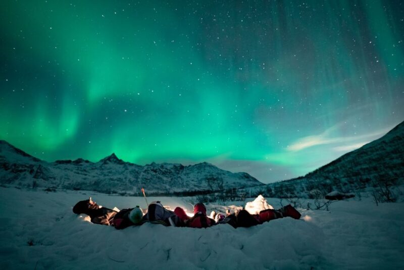 Tromsø: Aurora Hunt with Citizen Science - What the Reviews Say