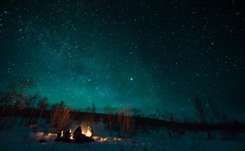Tromsø: Aurora Hunt with Citizen Science - Who Will Love This Tour?