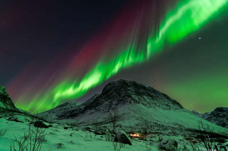 Tromsø: Aurora Quest Luxury Car Experience 7-Hour Tour - Key Points