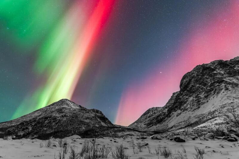 Tromsø: Aurora Quest Minibus Adventure - The Sum Up