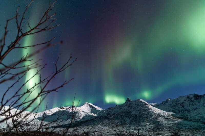 Tromsø: Aurora Quest small group Adventure - Setting the Scene: What to Expect