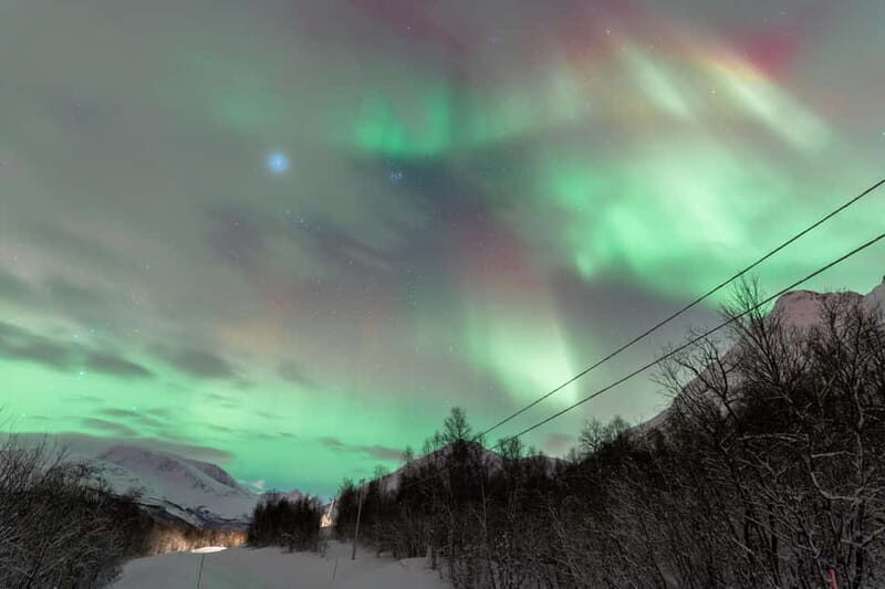 Tromsø: Aurora Quest small group Adventure - Practical Details: Timing and Group Size
