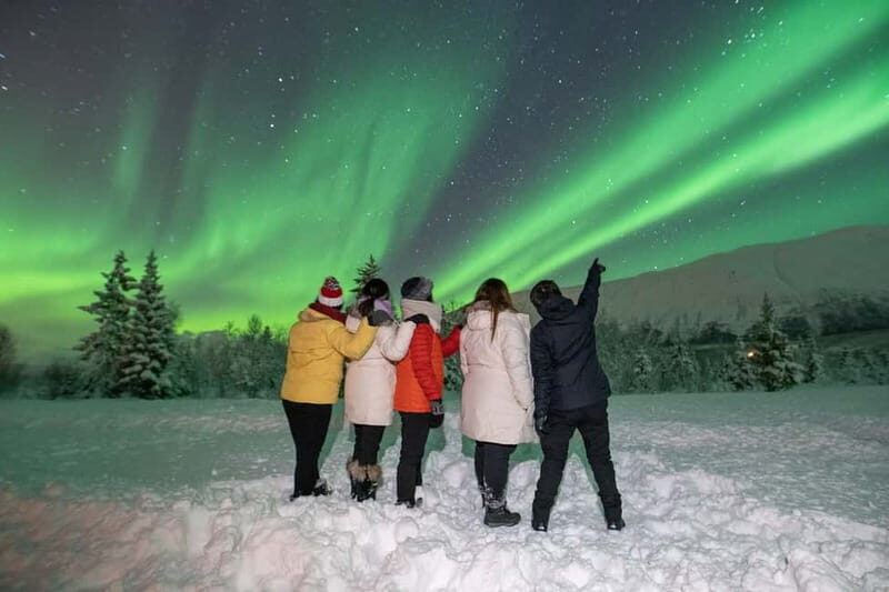 Tromsø: Aurora Safari Chase by big bus with Camp meal - An In-Depth Look at the Aurora Safari Chase Experience