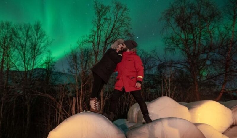 Tromsø: Aurora Safari Chase by big bus with Camp meal - Key Points