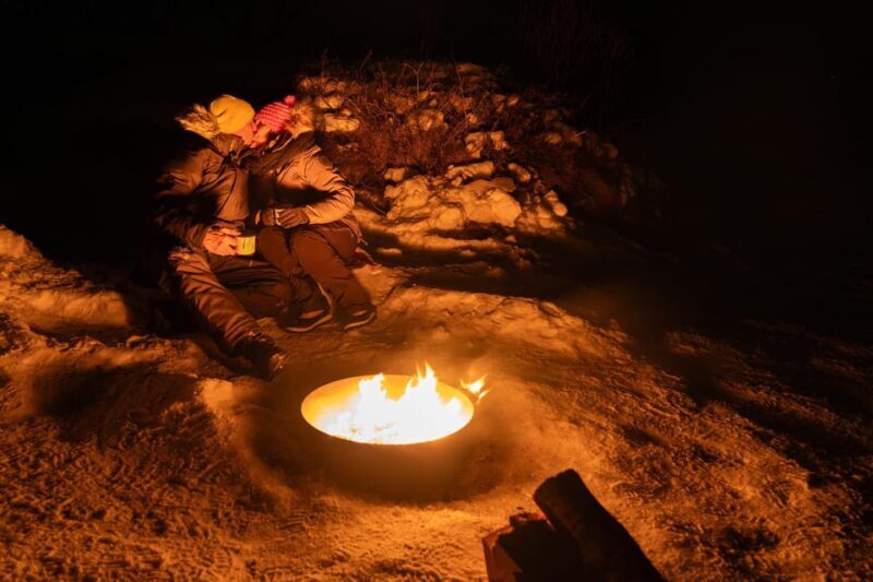 Tromsø: Aurora Tour with Campfire and Professional Photos - What the Tour Includes and Why It Matters