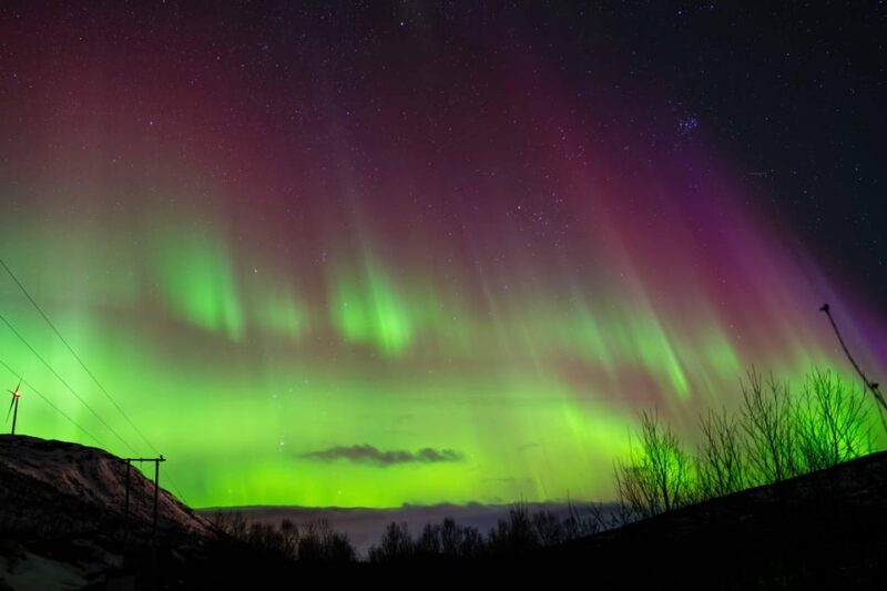 Tromsø: Aurora Tour with Campfire and Professional Photos - Group Size and Atmosphere