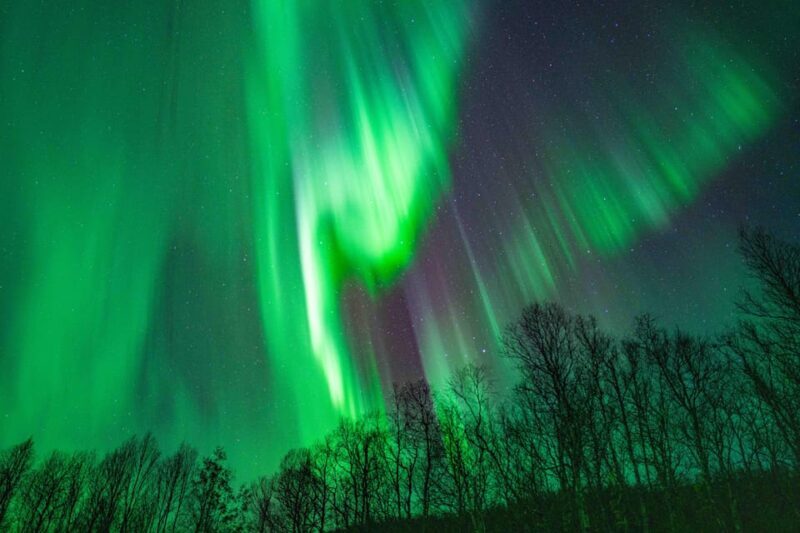 Tromsø: Aurora Tour with Campfire and Professional Photos - Practical Tips for Travelers