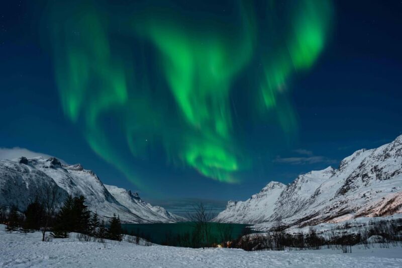 Tromsø: Aurora Tour with Campfire and Professional Photos - Who This Tour Suits Best