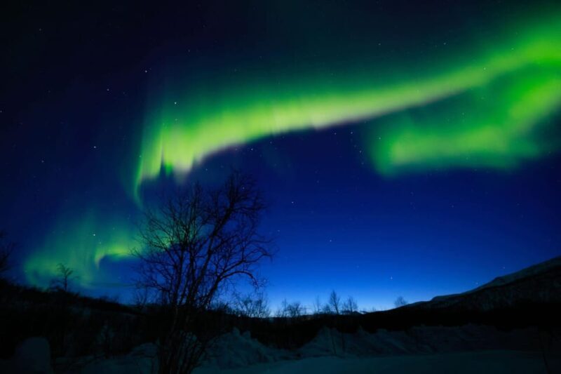 Tromsø Chinese Aurora Tour - Who Should Consider This Tour?
