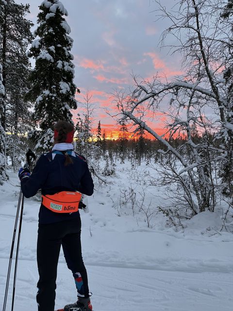 Tromsø: Cross Country Guided Skiing Course - What Makes This Tour Stand Out