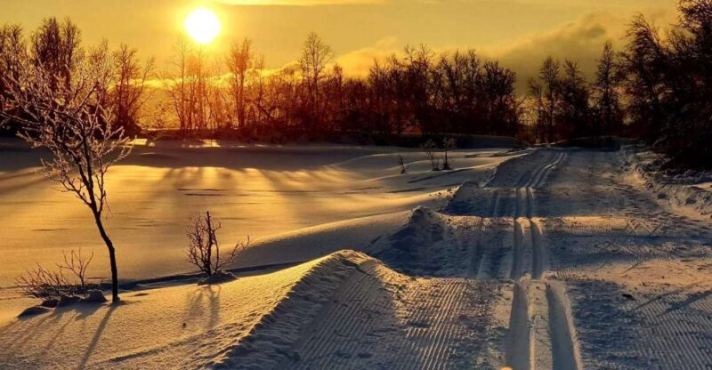 Tromsø: Cross Country Guided Skiing Course - Summary & Who Should Consider This Tour