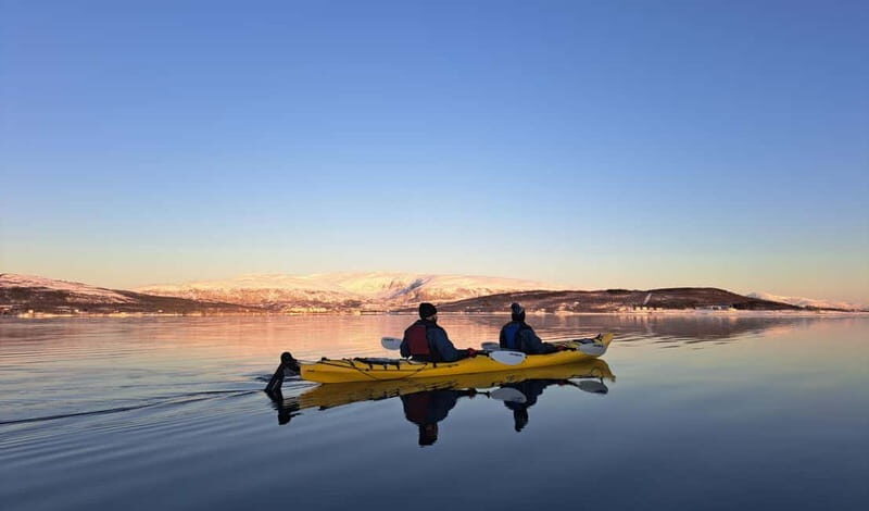 Tromsø: Easy Winter Kayaking Tour with Seal Watching - Key Points  
